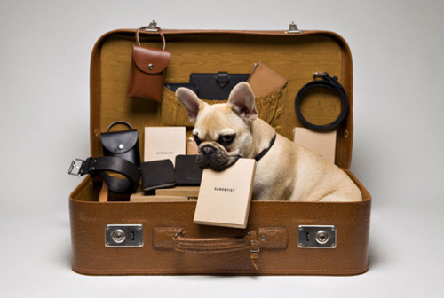 Monday Men: Peeking Inside the Boys’ Bags