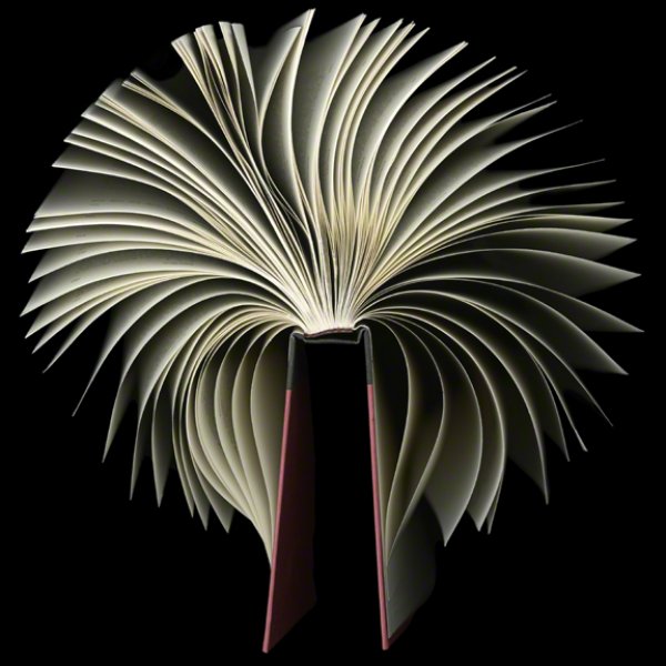 Cara Barer Elegy