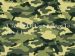 camouflage thumbnail
